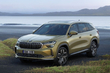 Top 5 automodellen voor roadtrips foto 1