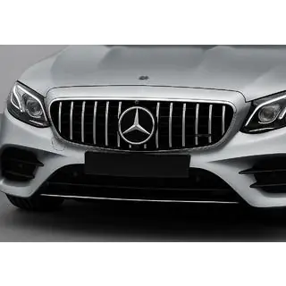 Voorgrille GT Panamericana (voor E63 AMG, 2016-2020) foto 1