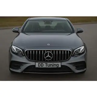 GT Panamericana voorgrille (voor Avantgarde/AMG-Line/E43 AMG/E53 AMG 2016-2020) foto 1