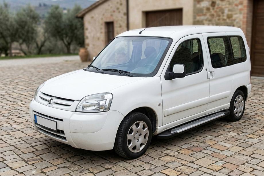 Citroen Berlingo 1996–2008 Line side steps (set van 2, aluminium) Image