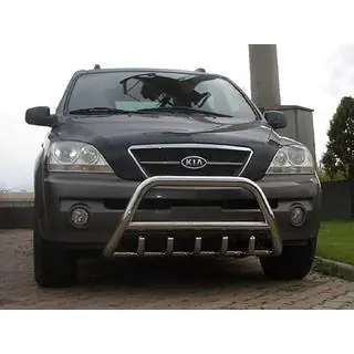 RVS bullbar WT003