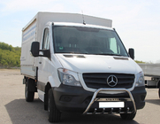 Mercedes Sprinter W906 2006–2018 RVS bullbar WT003 60 mm, met opschrift foto 1