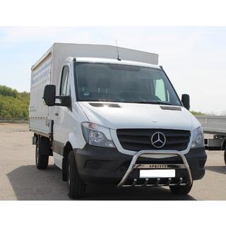 RVS bullbar WT003 foto 1