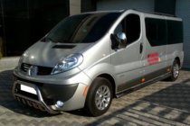 Opel Vivaro 2001–2015 Bullbar WT003-4 (RVS) foto 11