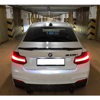 M4-stijl spoiler (voor F22, om te spuiten) foto 1