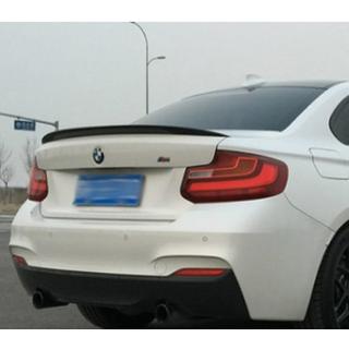 P-Style spoiler (voor F22, spuitklaar) foto 1