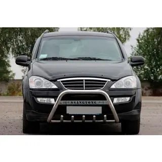 Bullbar WT004 (RVS)
