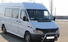 Mercedes Sprinter W901/902/903/904/905 1995–2006 RVS bullbar WT003 foto 3