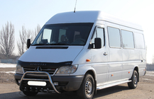 Mercedes Sprinter W901/902/903/904/905 1995–2006 RVS bullbar WT003 foto 4