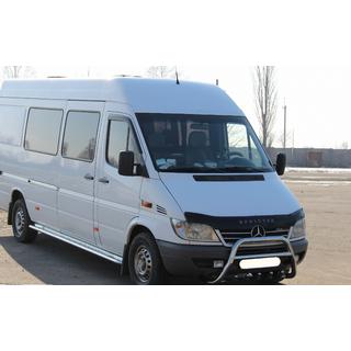 RVS bullbar WT003 foto 3
