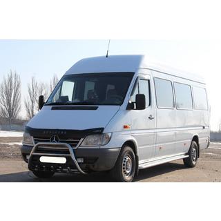 RVS bullbar WT003 foto 4