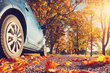 Auto klaar voor de herfst: nodig of tijdverspilling? foto 1