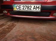 Daewoo Lanos 1998–2017 Winterafdekking radiateurgrille (onderste) foto 2