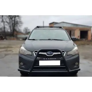 Bullbar / frontbeugel F1-71 Black (RVS) foto 1