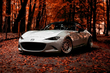 Autoverzorging in de herfst: 5 belangrijke regels foto 1