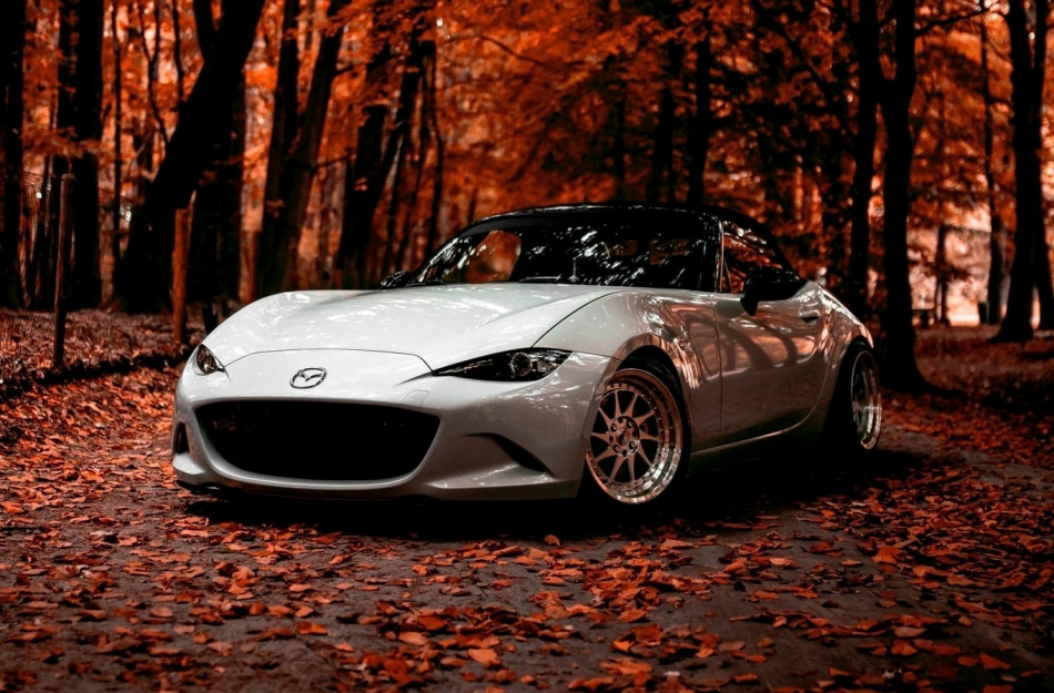 Autoverzorging in de herfst: 5 belangrijke regels