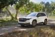 Subaru Forester zesde generatie: review van de crossover foto 2