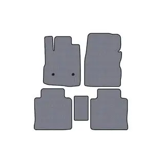 Carsuit rubberen automatten voor het interieur (2009-2015, grijs) foto 1