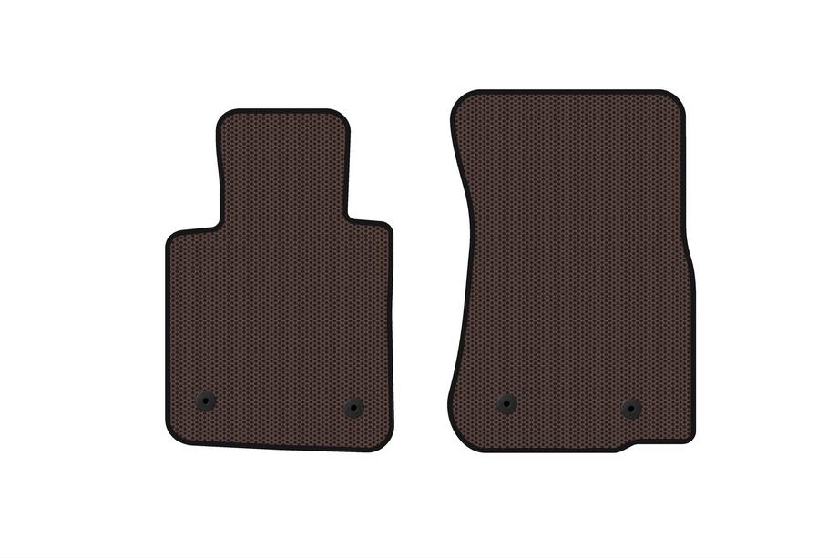 BMW Z4 (E89) 2009–2016 Rubberen automatten Carsuit (Bruin) Image