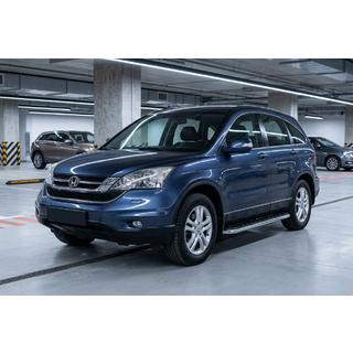 Maydos V1 zijtreden (set 2 stuks, aluminium + RVS) foto 1