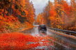 Welke gevaren brengt de herfst met zich mee voor automobilisten? foto 1
