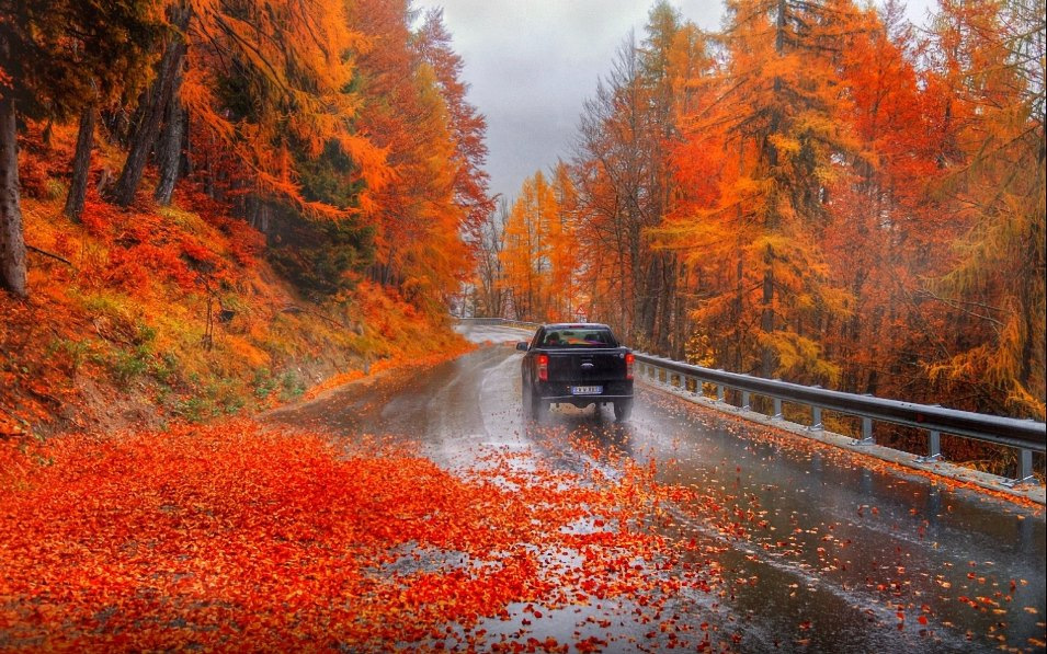 Welke gevaren brengt de herfst met zich mee voor automobilisten?