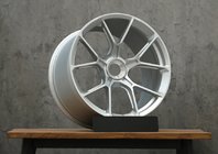 Porsche 911 (991) 2011–2019 Gesmede velgen OEM R20 V4 (4 stuks) foto 1