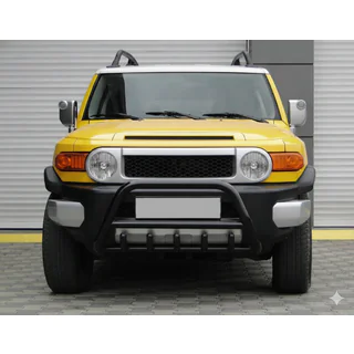 Bullbar WT003 Black (RVS) foto 1