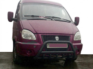GAZ Gazelle, Sobol 1998– Bullbar WT003 Black (RVS) foto 1