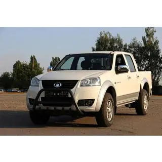 Bullbar WT003 Black (RVS) foto 1