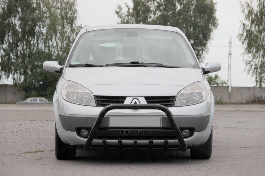 Renault Scenic/Grand 2003–2009 Bullbar WT004 Black (RVS) Image