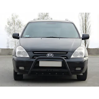 Bullbar WT004 Black (RVS) foto 1