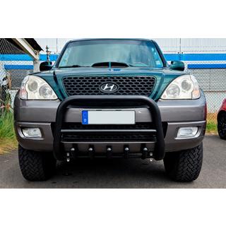 Bullbar WT003 Black (RVS) foto 1