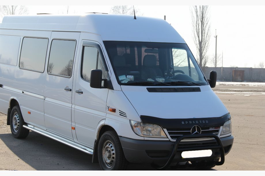 Mercedes Sprinter W901/902/903/904/905 1995–2006 Bullbar WT003 Black (RVS) 2000-2006 Foto 4