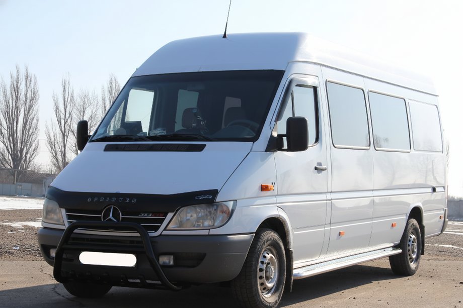 Mercedes Sprinter W901/902/903/904/905 1995–2006 Bullbar WT003 Black (RVS) 1995-2000 Image