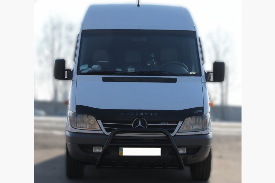 Mercedes Sprinter W901/902/903/904/905 1995–2006 Bullbar WT003 Black (RVS) 2000-2006 Foto 3