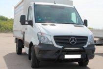 Mercedes Sprinter W906 2006–2018 Bullbar WT004 (zwart) foto 1
