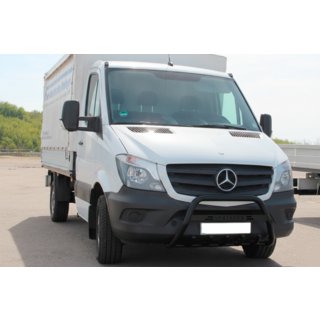 Bullbar WT004 (zwart) foto 1