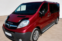 Renault Trafic 2001–2015 Rainbow zijtreden (set van 2, aluminium) foto 1