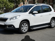 Peugeot 2008 2013–2019 Rainbow side steps (2 stuks, aluminium) foto 1