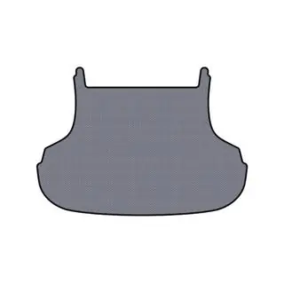 Rubberen kofferbakmat Carsuit (2001-2004, grijs)