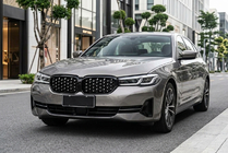 BMW 5 Serie G30/G31 2017–2023 Niergrille Diamond Silver (2021-2023) foto 1