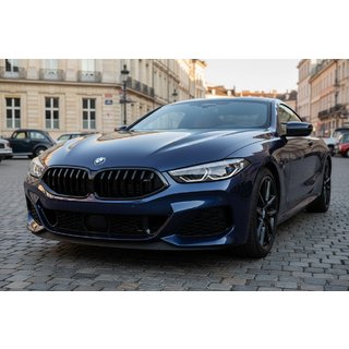 Nierroosters 1-Bar (2018-2022, hoogglans zwart) BMW 8-serie G14/G15/G16 2018– foto 1