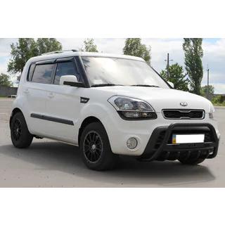 Bullbar WT004 Black (RVS) foto 2