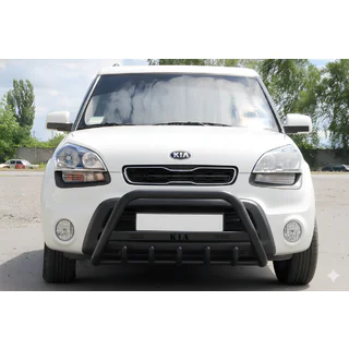 Bullbar WT004 Black (RVS) foto 1