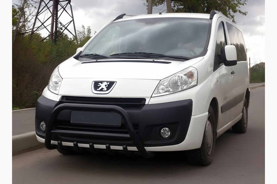 Citroen Jumpy 2007–2017 Bullbar WT003 Black (RVS) Image