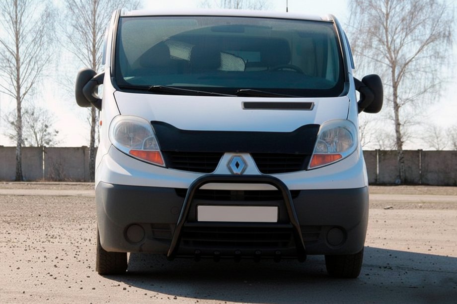 Opel Vivaro 2001–2015 Bullbar QT-Spec Black (RVS) Image