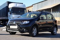 Renault Sandero 2013–2022 Voorbumperbeugel WT006 Black (RVS) foto 3