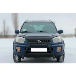 Bullbar WT005 Black (RVS) foto 1
