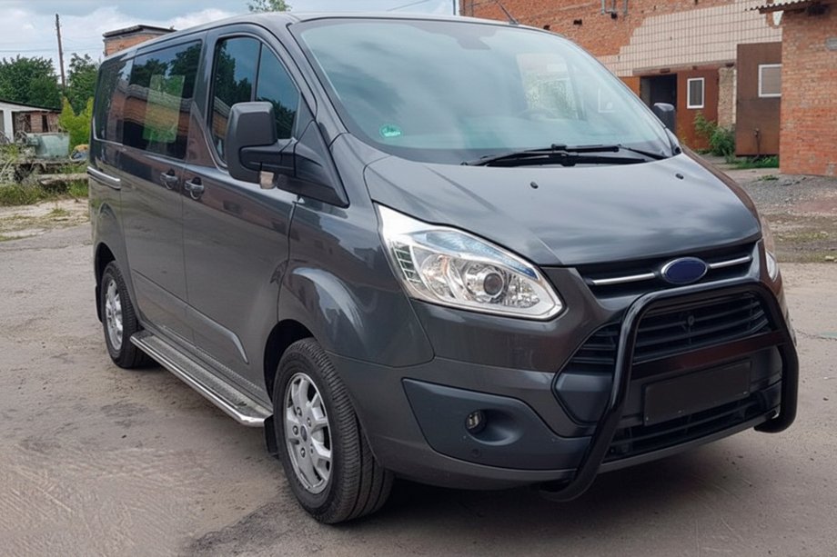 Ford Custom 2013–2022 Bullbar WT006 Black (RVS) Image